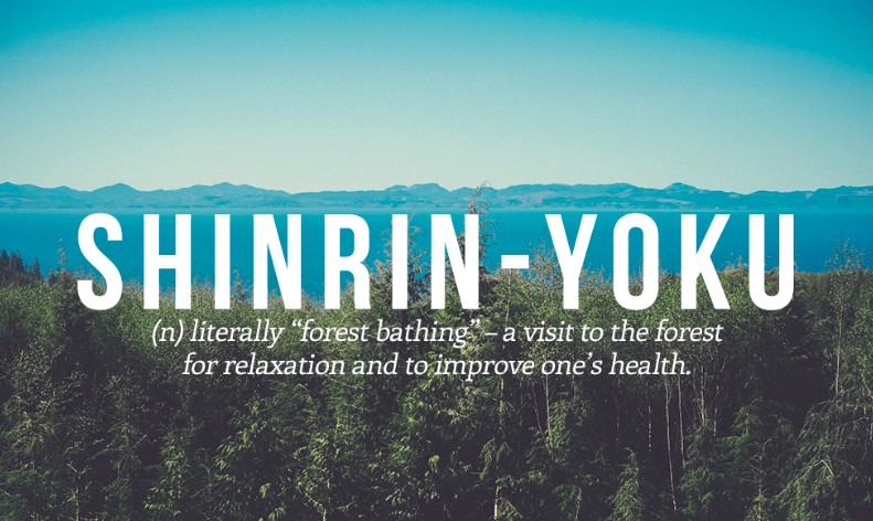 forest bathing