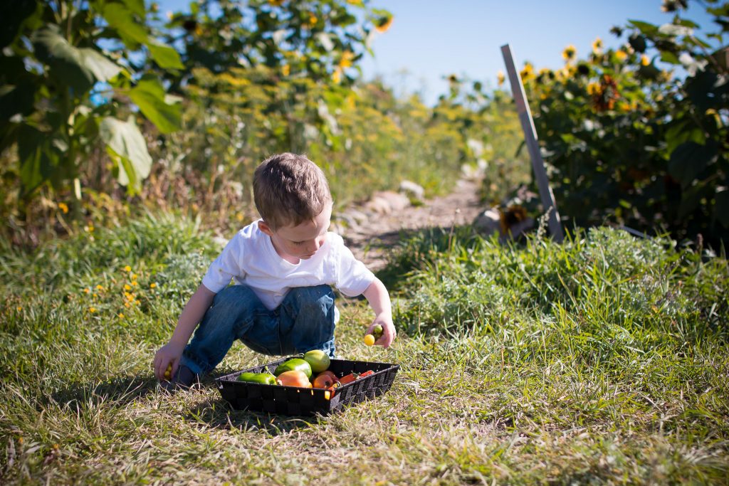 community garden