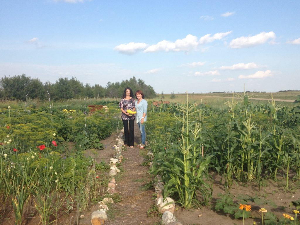 community garden Sarilia